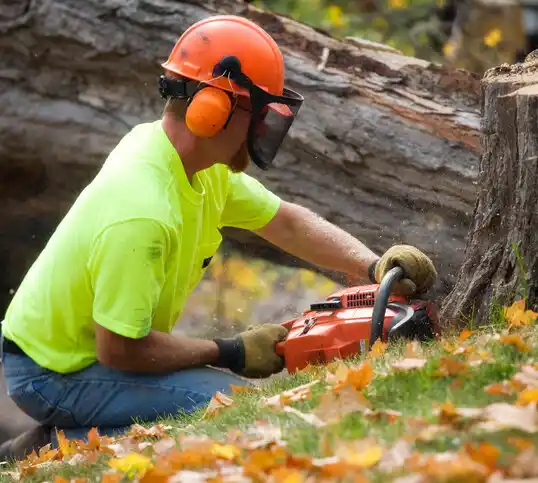 tree services Starbuck